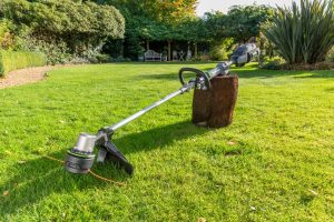 EGO Accu Grastrimmers & Bosmaaiers