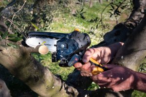 Accu snoei kettingzaag Agritec Flora PCP100A 100mm
